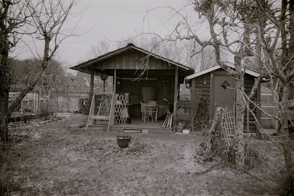Film: Ilford HP5+