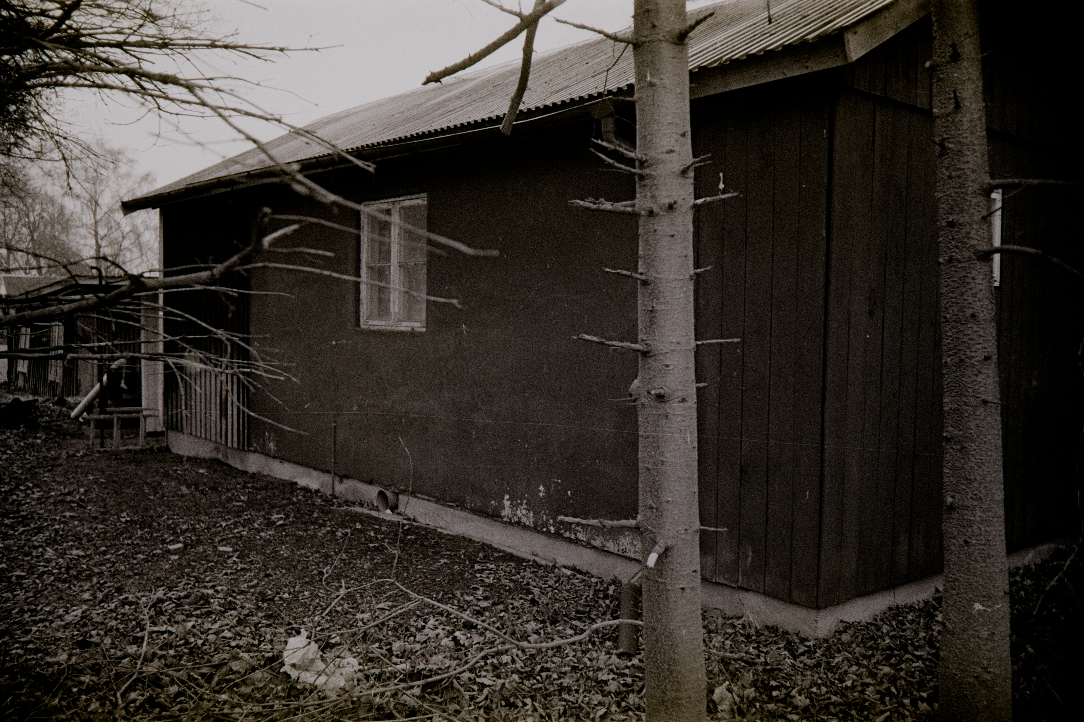 Shed