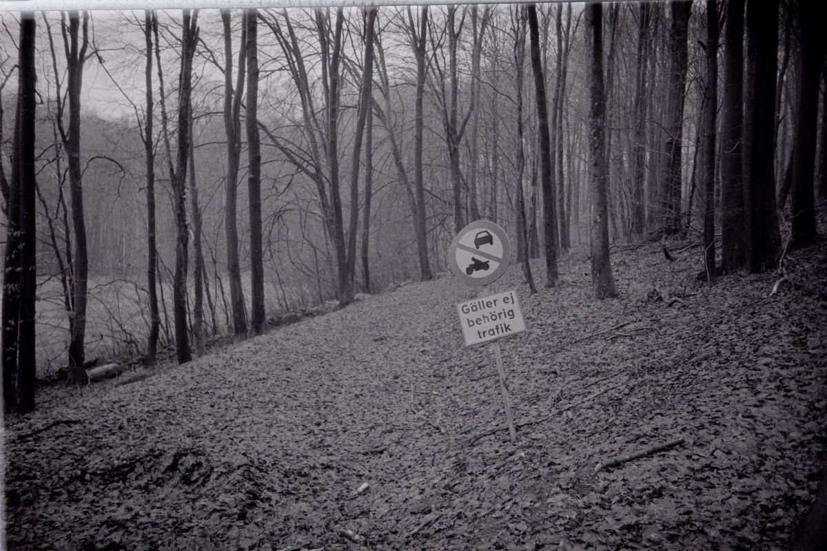 Film: Ilford HP5+