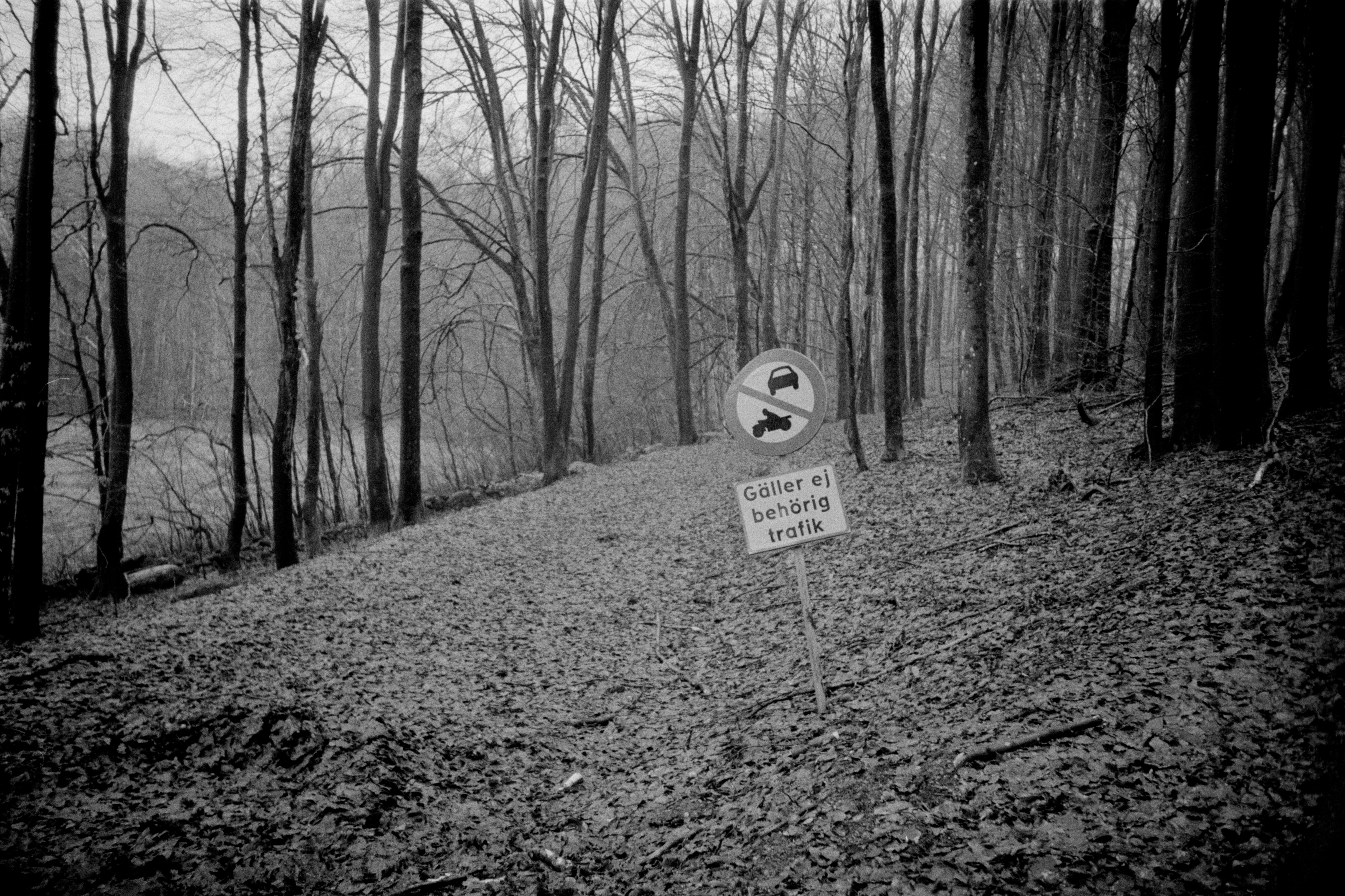 no driving