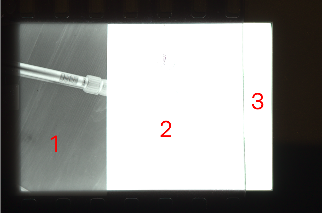 photo negative