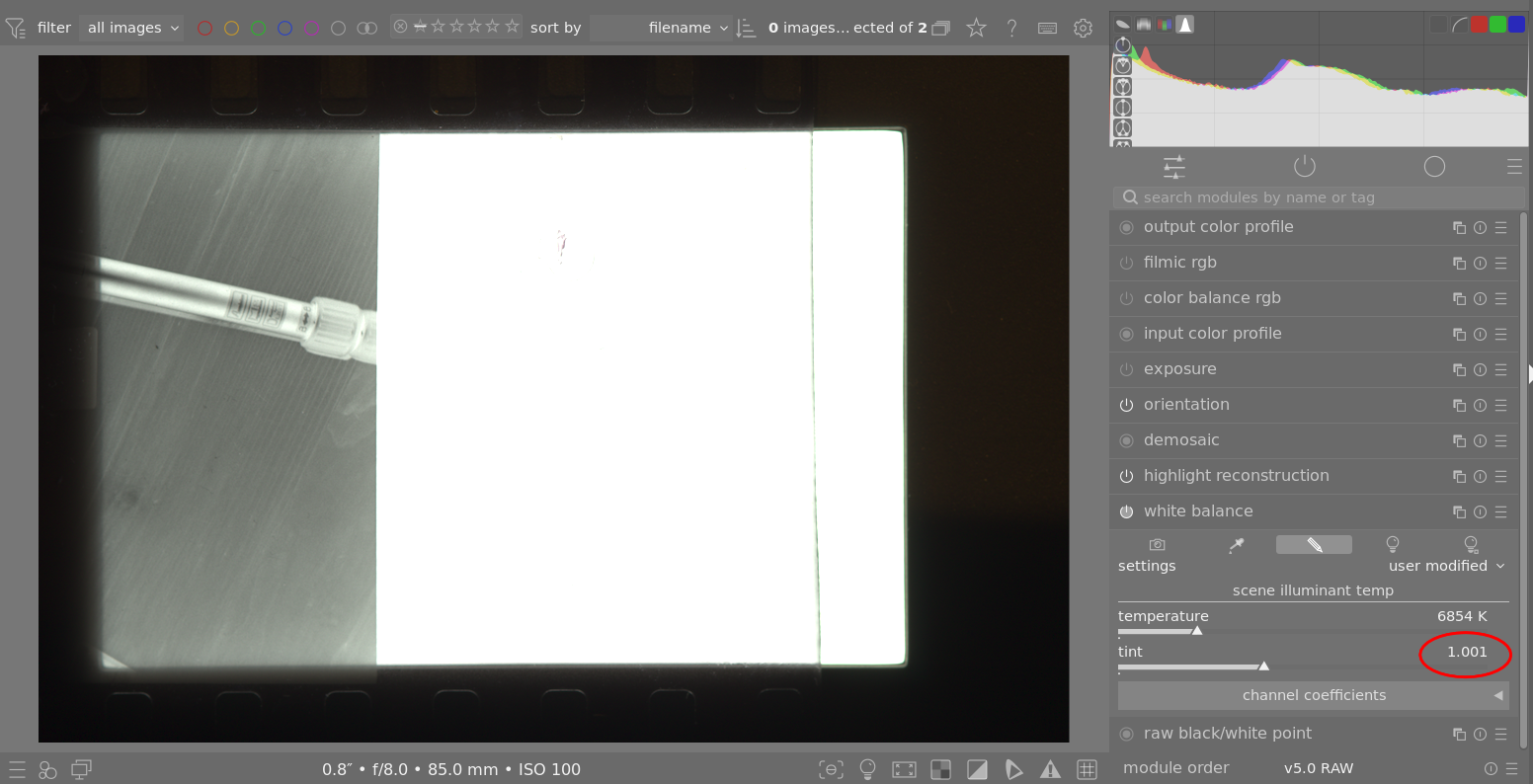Whitebalance Tint