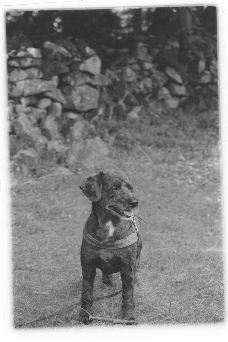 Film: Ilford HP5 plus
