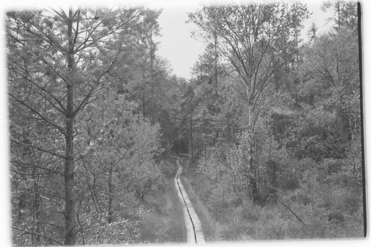 Film: Ilford HP5 plus