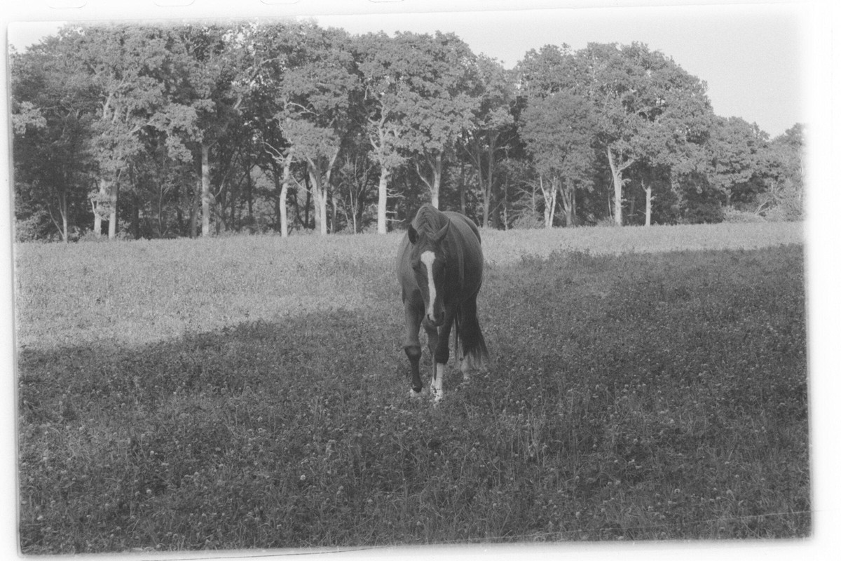 Film: Ilford HP5 plus