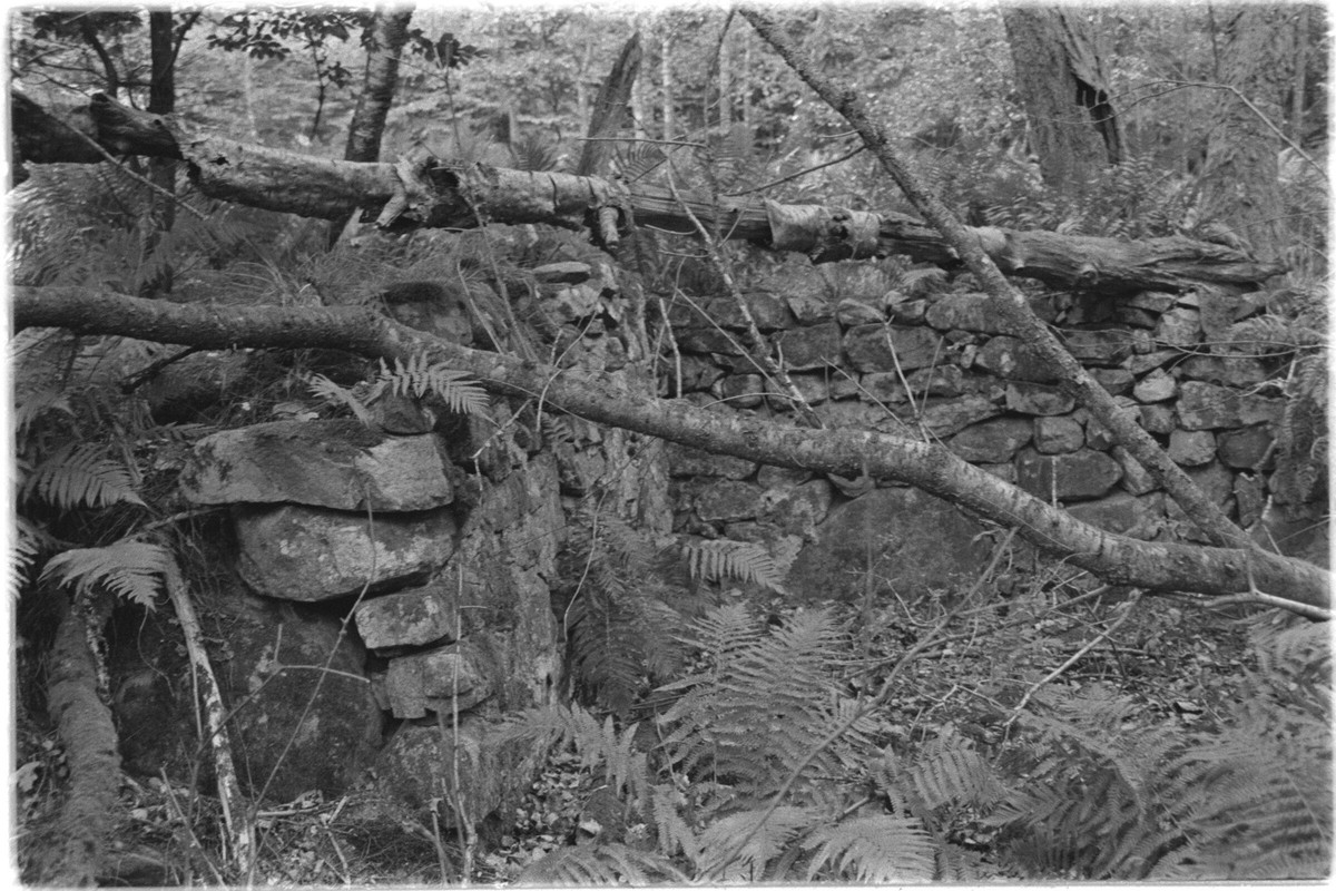 Film: Ilford HP5 plus