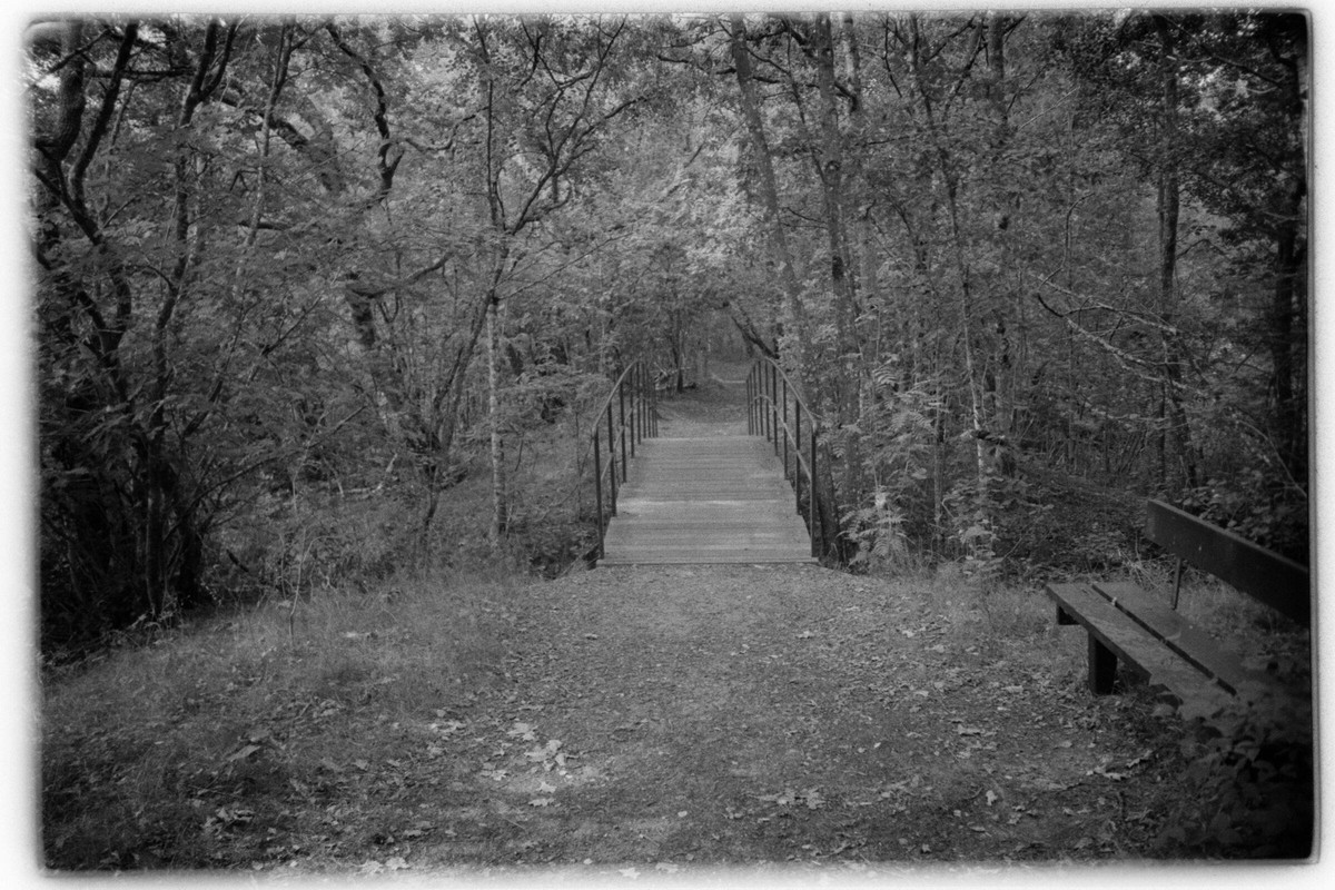 Film: Ilford HP5 plus