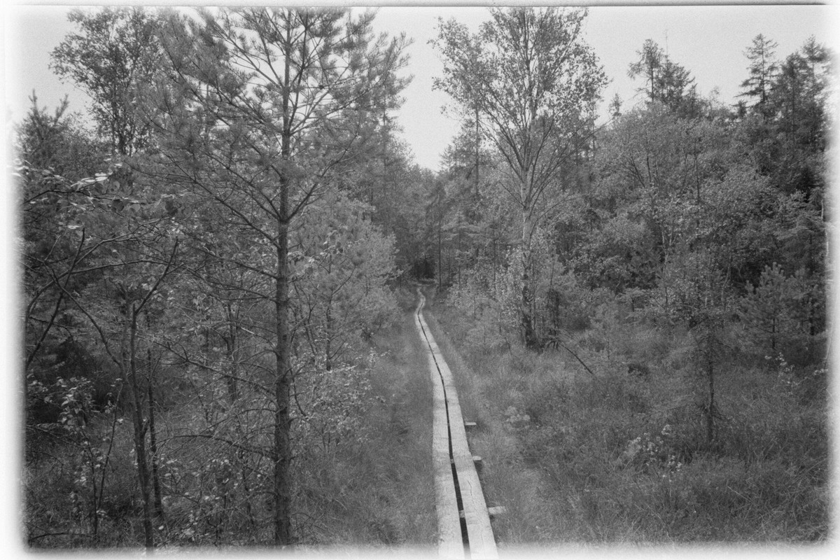 Film: Ilford HP5 plus