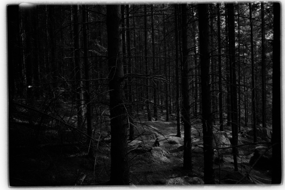 Film: Ilford HP5 plus