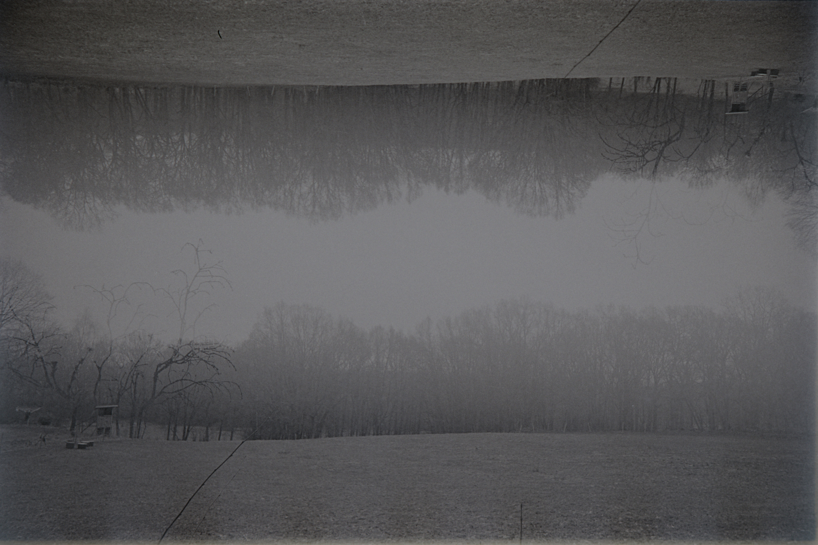 Double-exposure