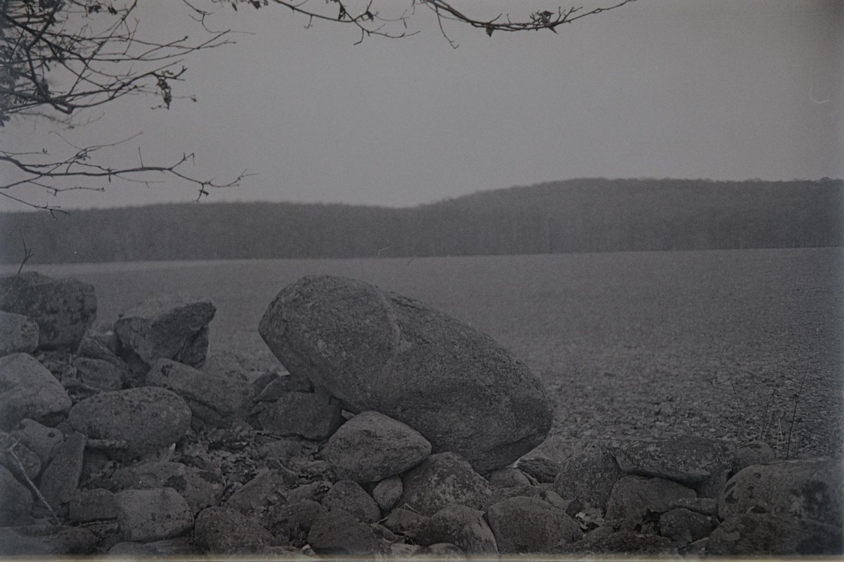 Film: Kodak Tri-X 400