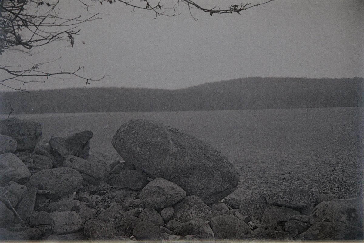 Film: Kodak Tri-X 400