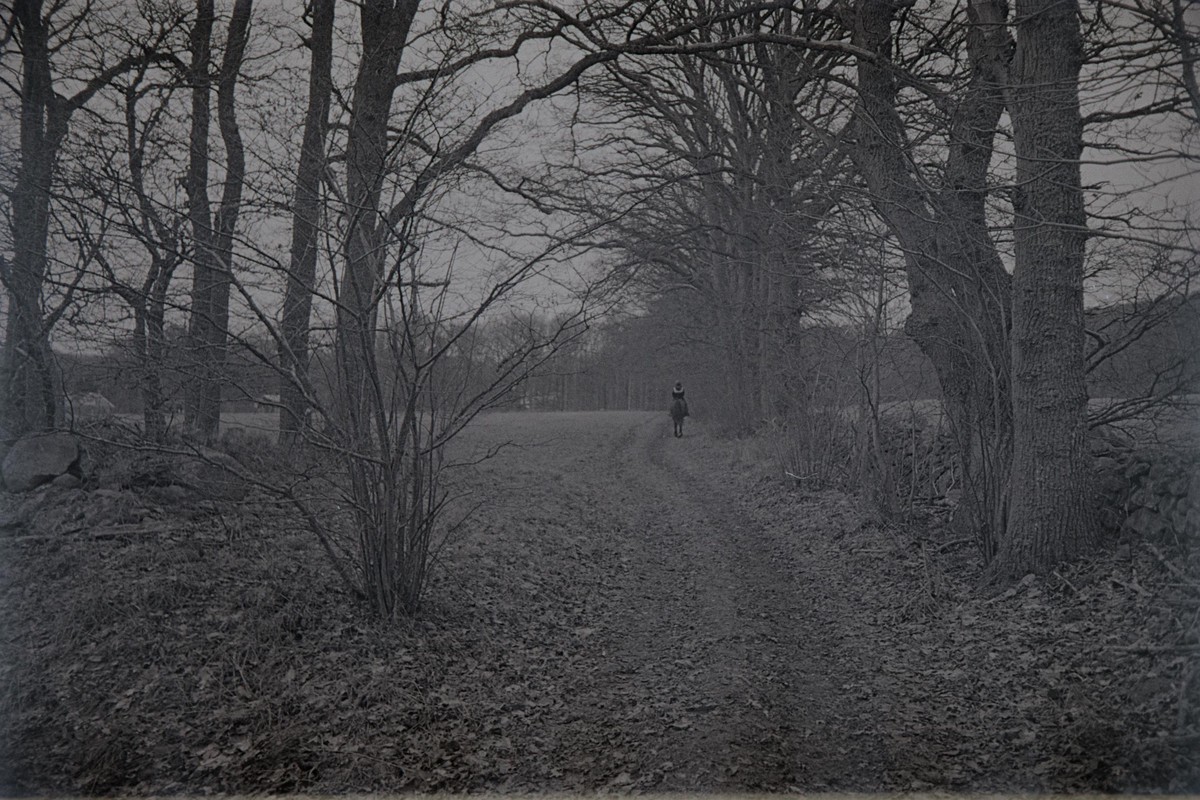 Film: Kodak Tri-X 400