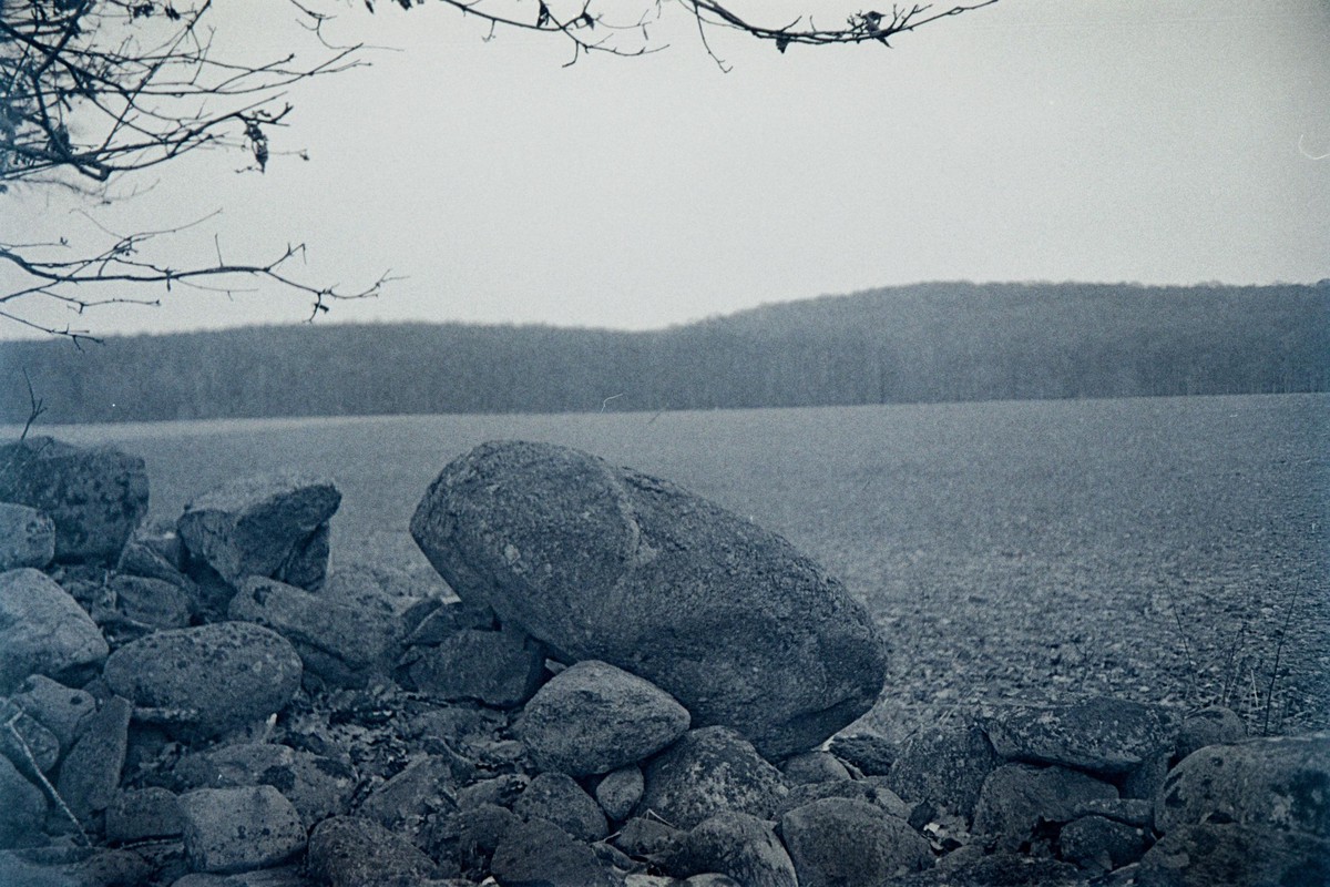 Film: Kodak Tri-X 400