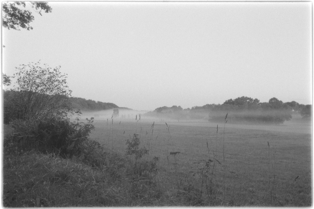 Kentmere Pan 400, Adox Rodinal, MSRTB001