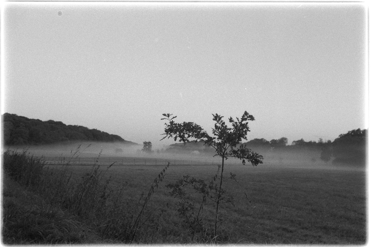 Kentmere Pan 400, Adox Rodinal, MSRTB001