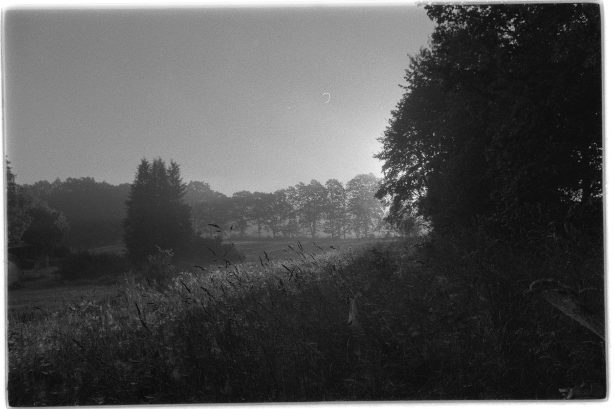 Kentmere Pan 400, Adox Rodinal, MSRTB001