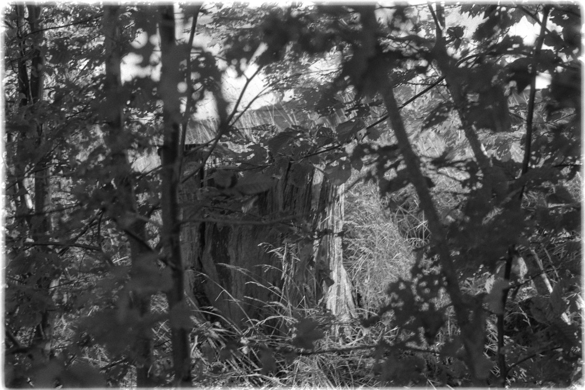 Kentmere Pan 400, Adox Rodinal, PK1K003