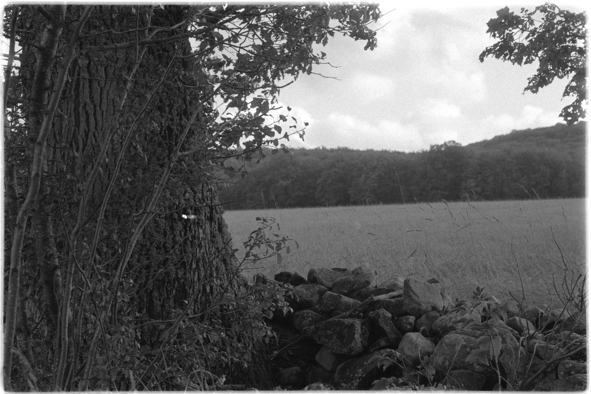 Kentmere Pan 400, Adox Rodinal, PK1K003