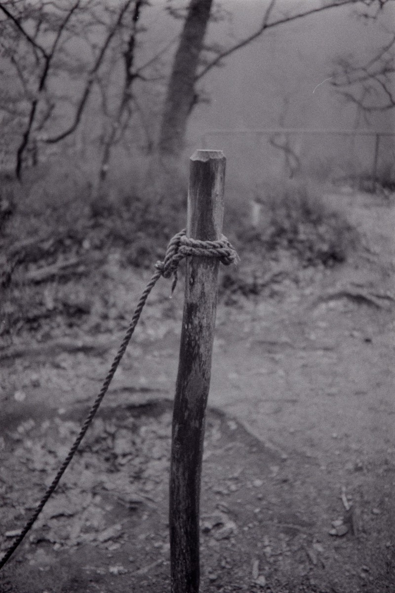 Film: Ilford HP5+
