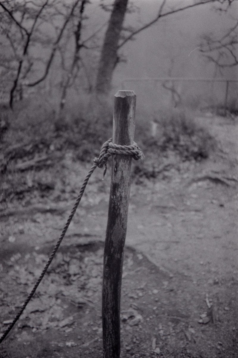 Film: Ilford HP5+