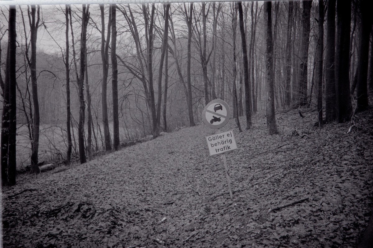 Film: Ilford HP5+