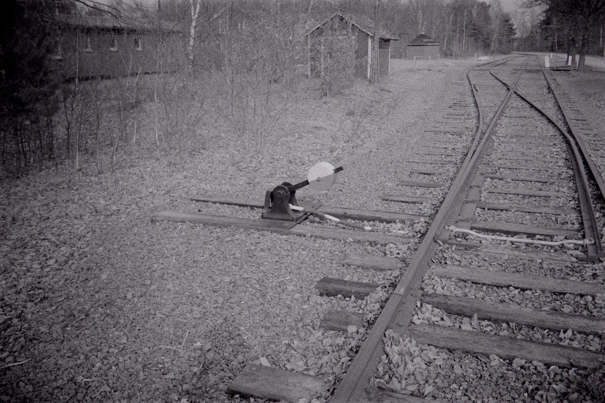 Film: Ilford HP5+ and Orange filter