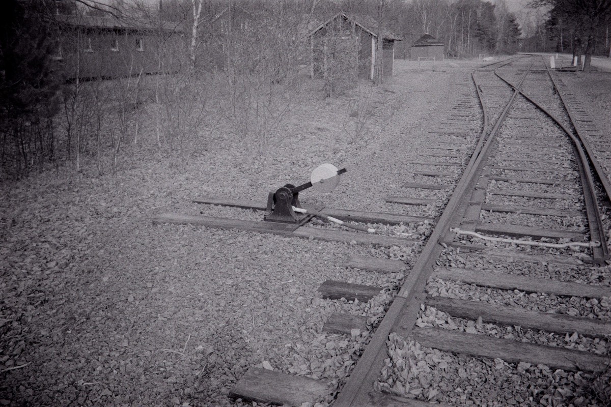 Film: Ilford HP5+ and Orange filter