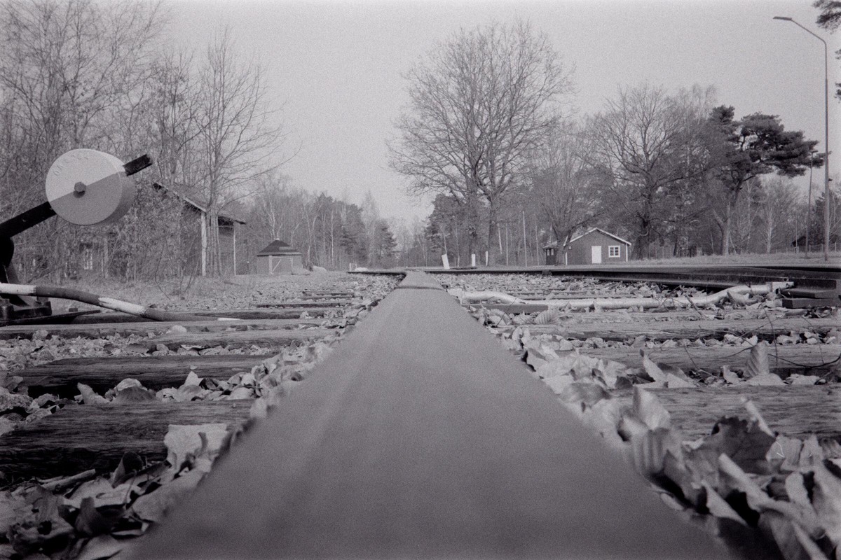 Film: Ilford HP5+ and Orange filter