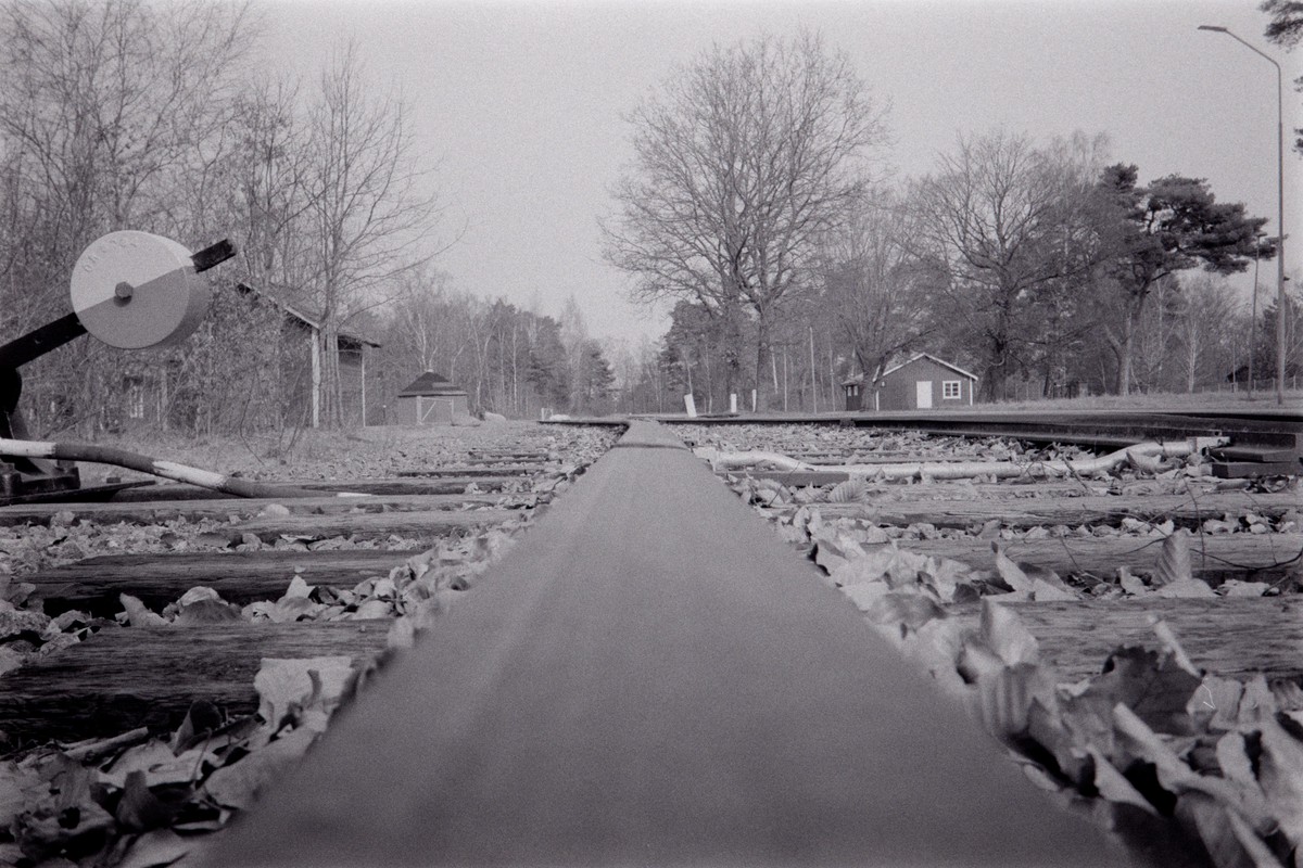 Film: Ilford HP5+ and Orange filter