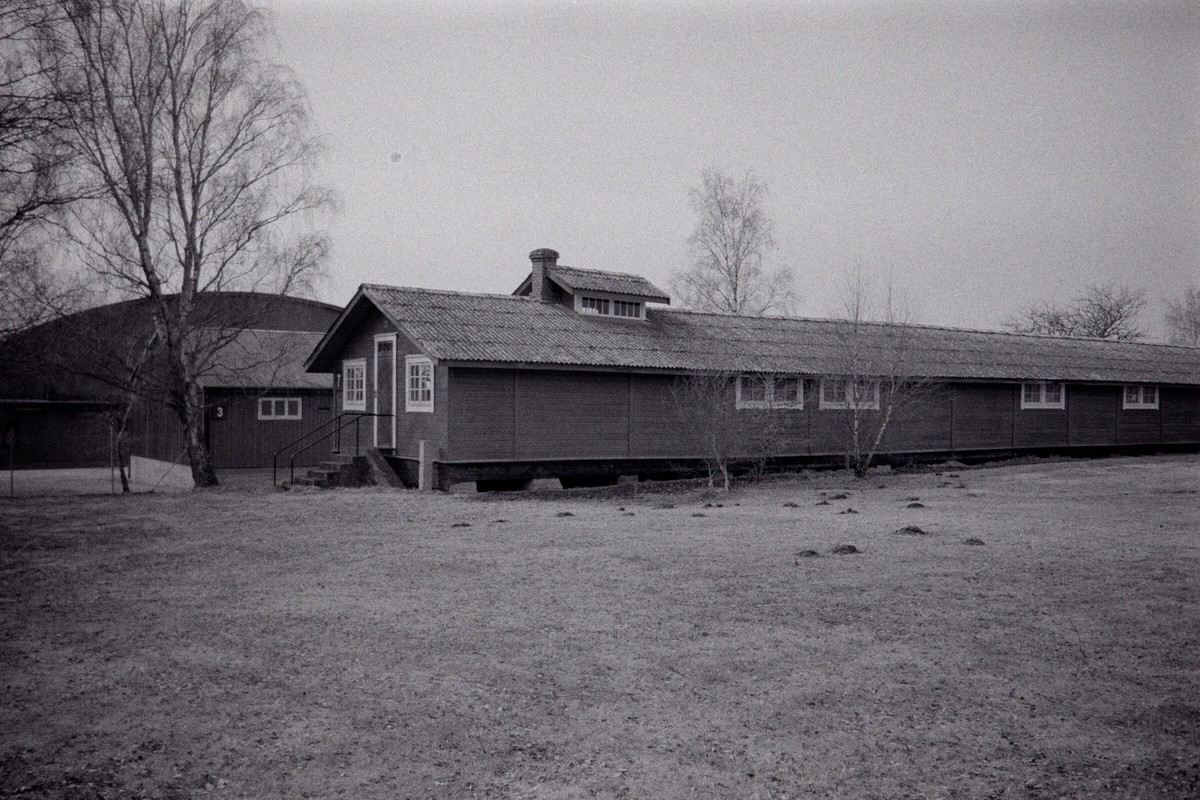 Film: Ilford HP5+ and Orange filter