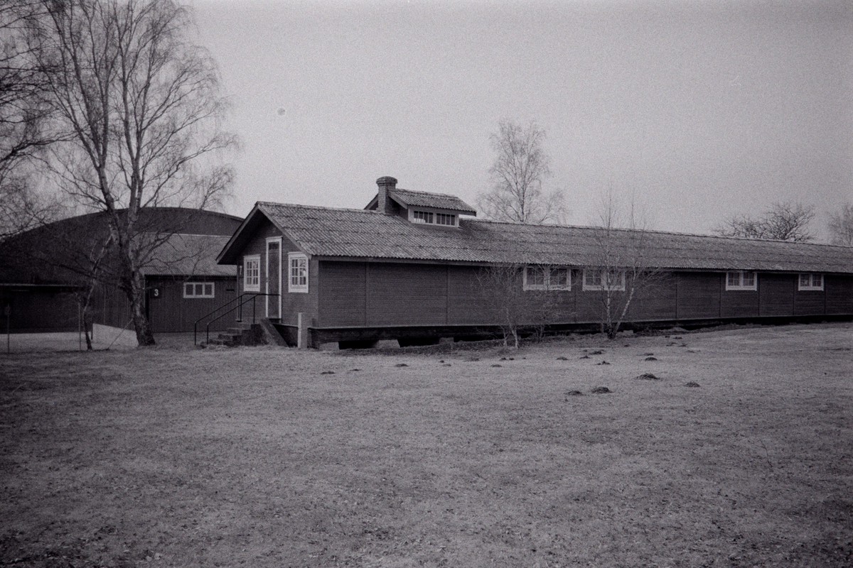 Film: Ilford HP5+ and Orange filter