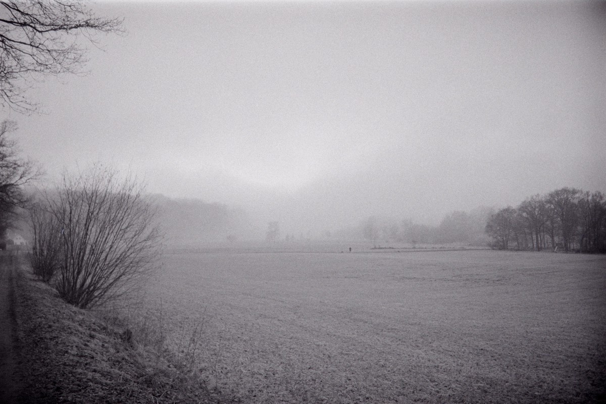 Film: Ilford HP5+ and Orange filter