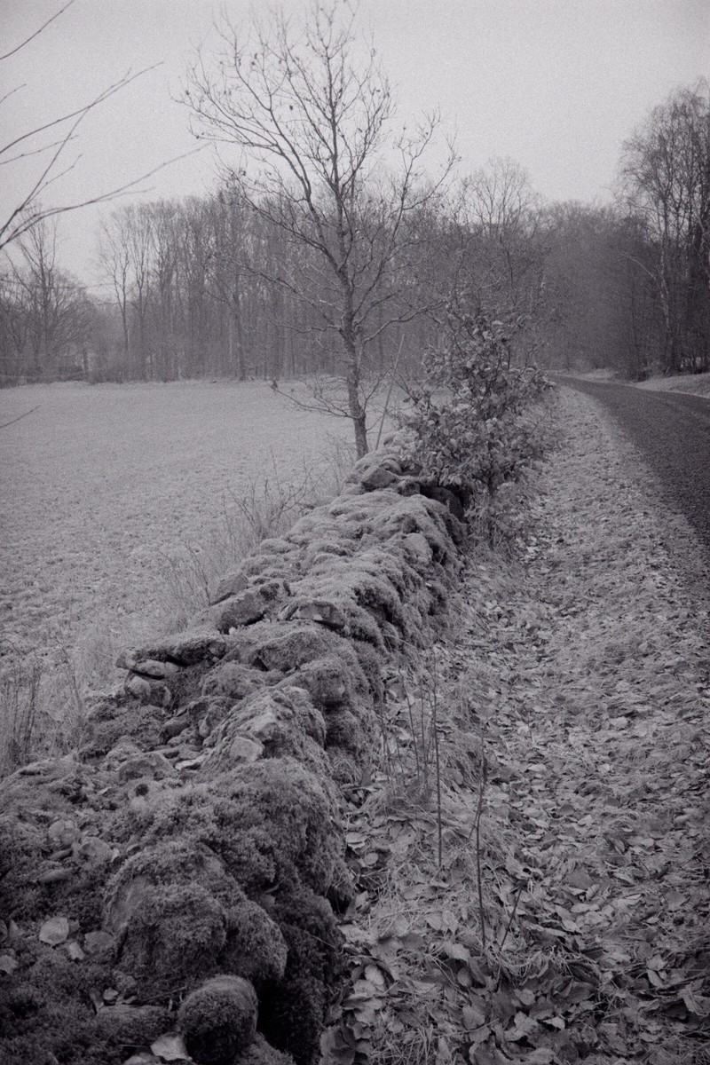 Film: Ilford HP5+ and Orange filter
