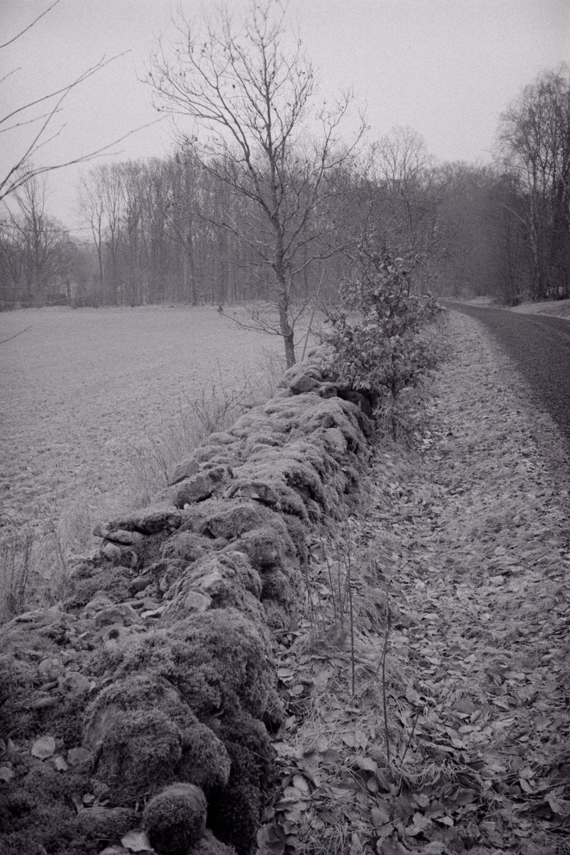 Film: Ilford HP5+ and Orange filter