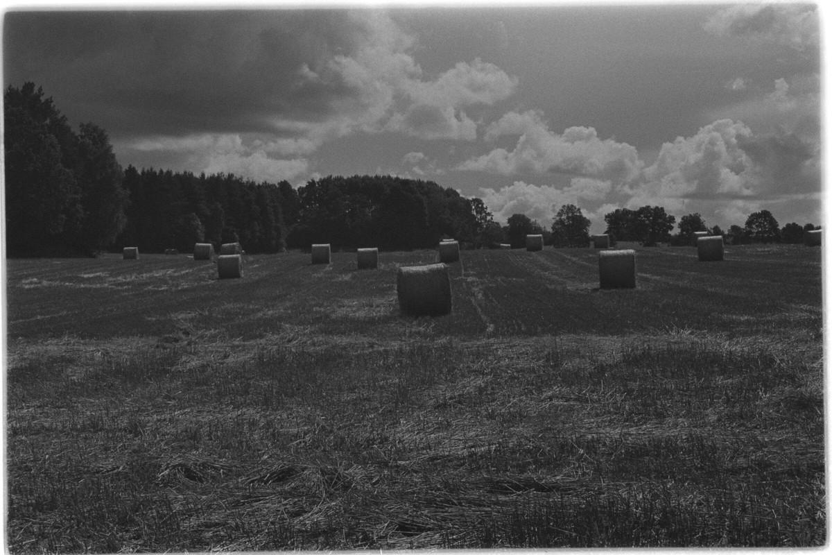 Film: Ilford HP5 plus