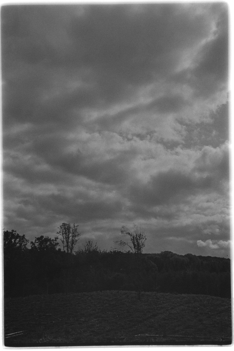 Film: Ilford HP5 plus