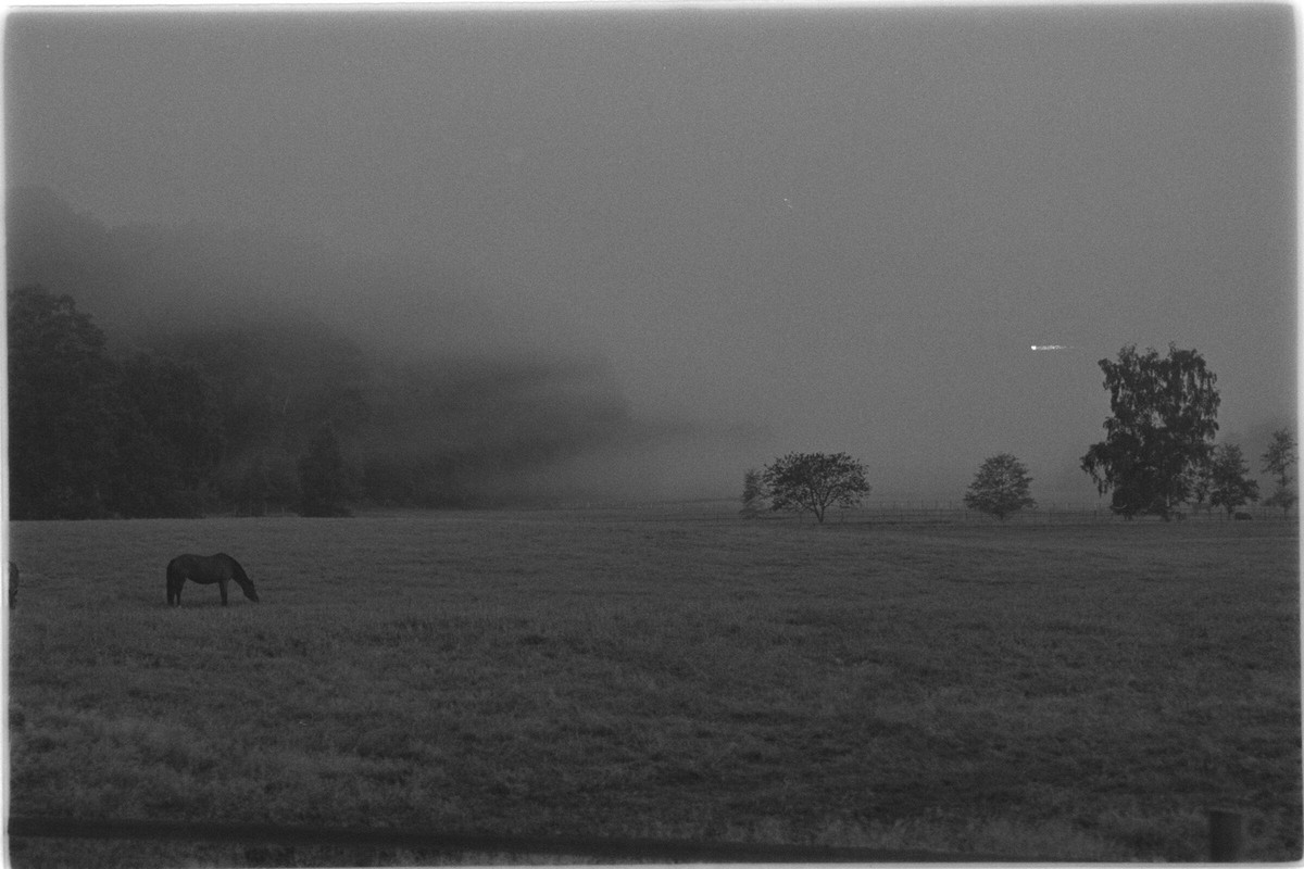 Film: Ilford HP5 plus