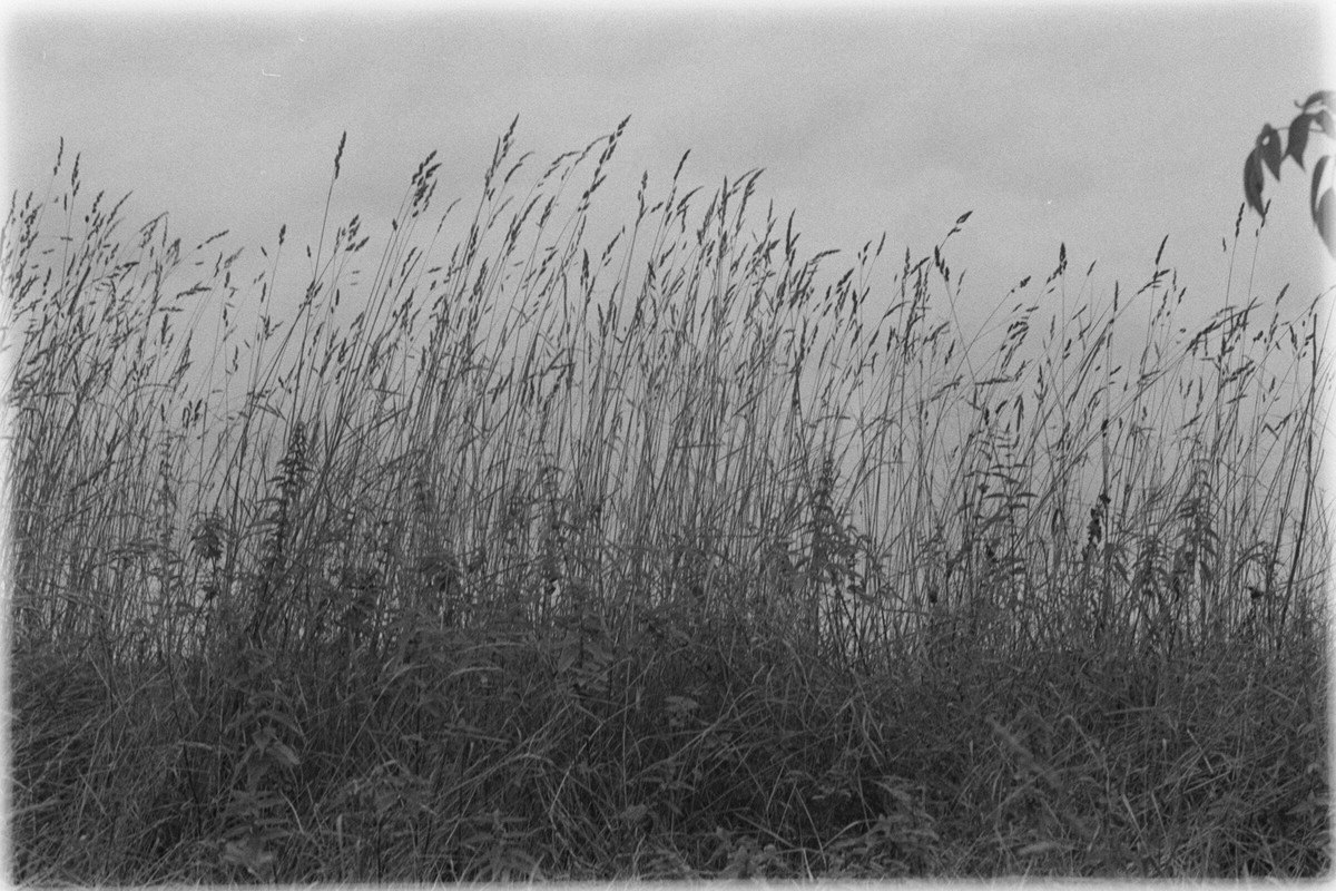 Film: Ilford HP5 plus