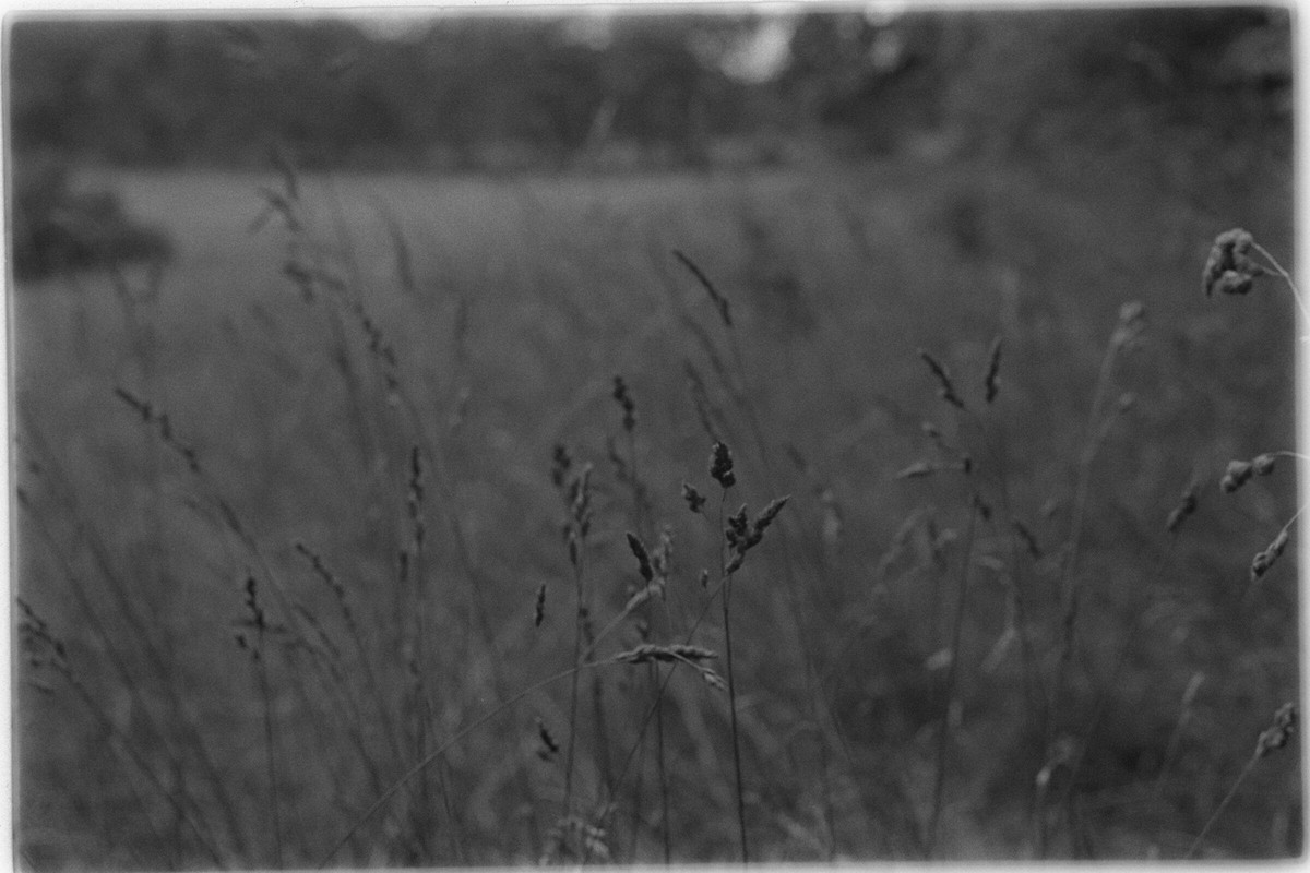 Film: Ilford HP5 plus